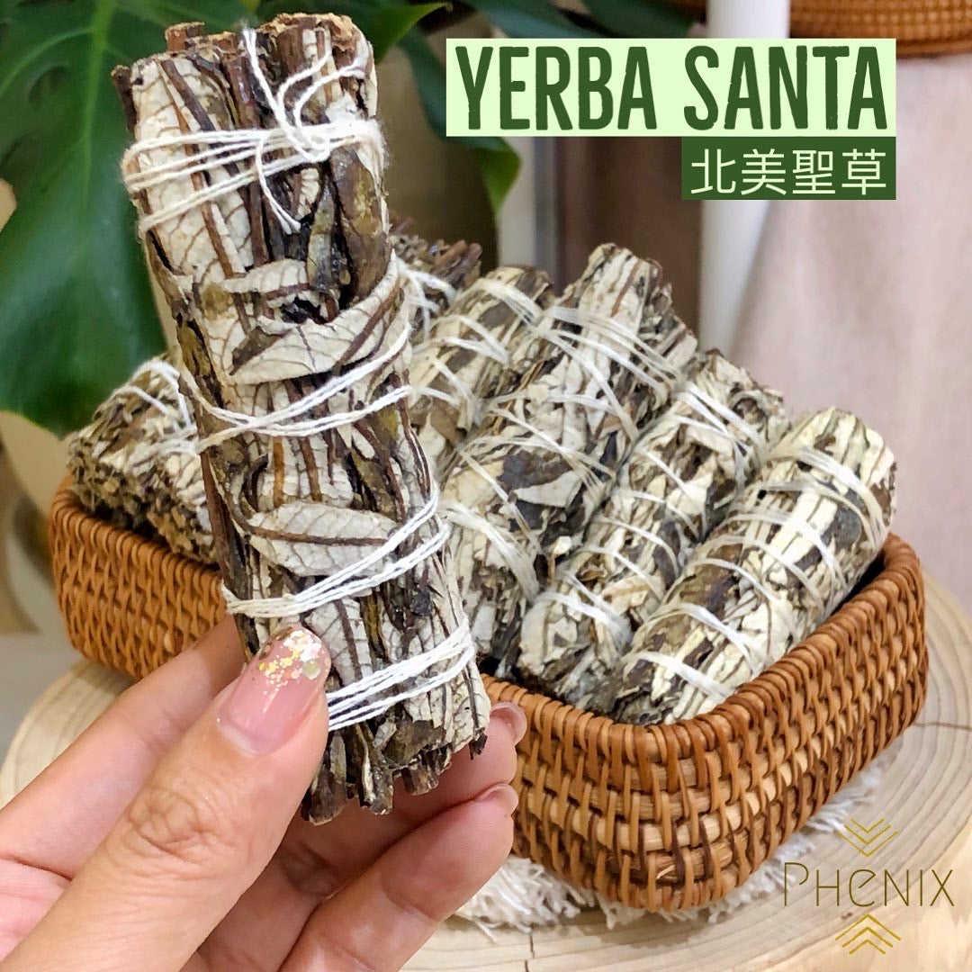 Yerba Santa 北美聖草