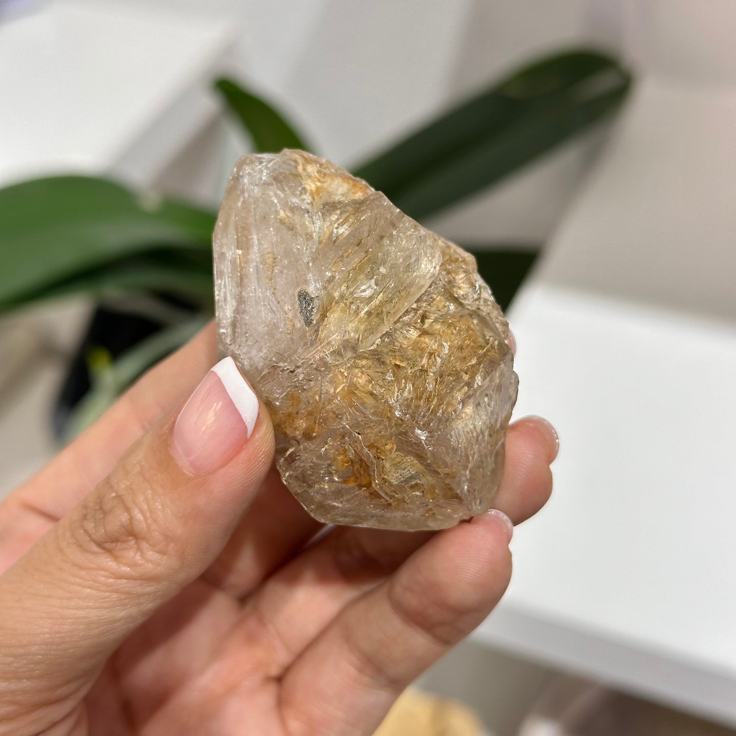 Skeleton Quartz 骸骨水晶 (02)