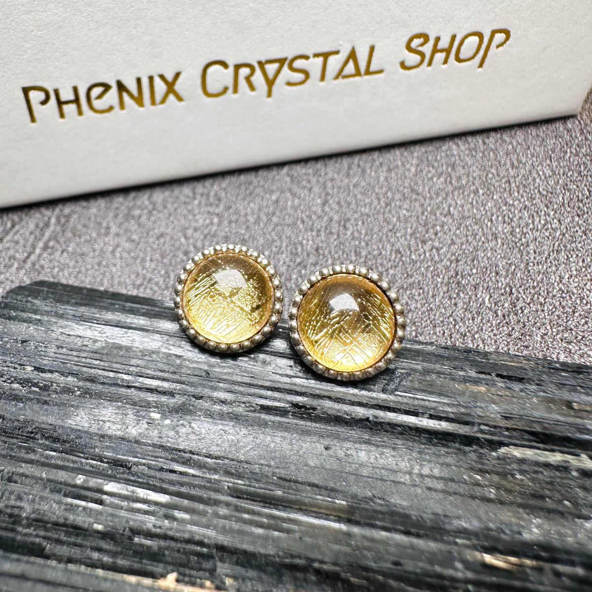Meteorite Earrings 天鐵耳環 | 耳飾 earrings | 正面圖 front view