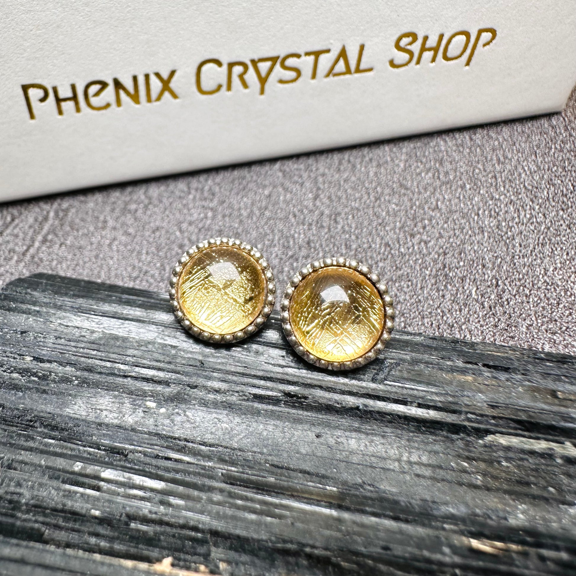 Meteorite Earrings 天鐵耳環 | 耳飾 earrings | 正面圖 front view