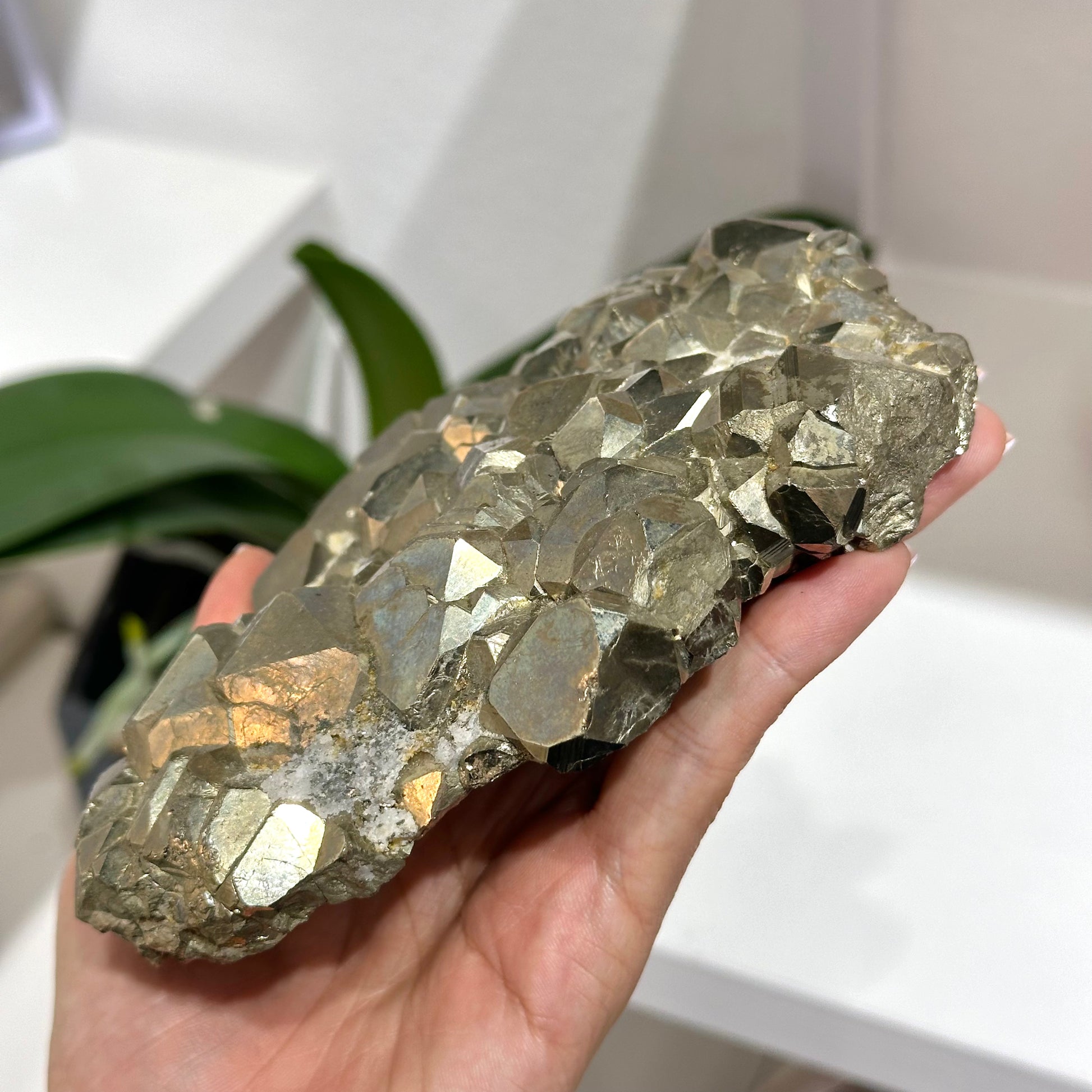 Pyrite 黃鐵礦原石擺件 | 擺件 decor-piece | 細節特寫 close up detail