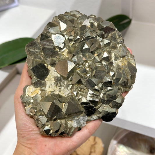 Pyrite 黃鐵礦原石擺件 | 擺件 decor-piece | 正面圖 front view