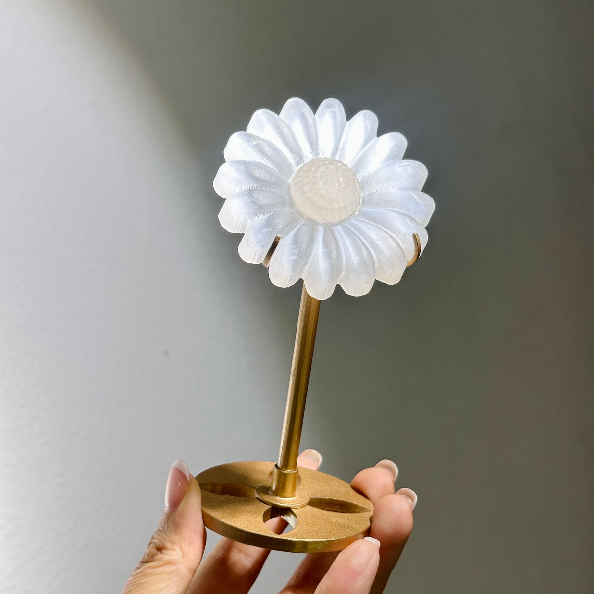 Selenite Flower 透石膏小花 | 小花 flower-piece | 細節特寫 close up detail
