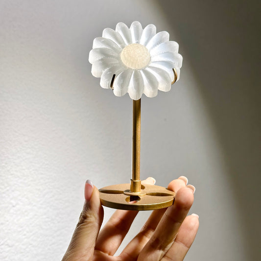 Selenite Flower 透石膏小花 | 小花 flower-piece | 正面圖 front view