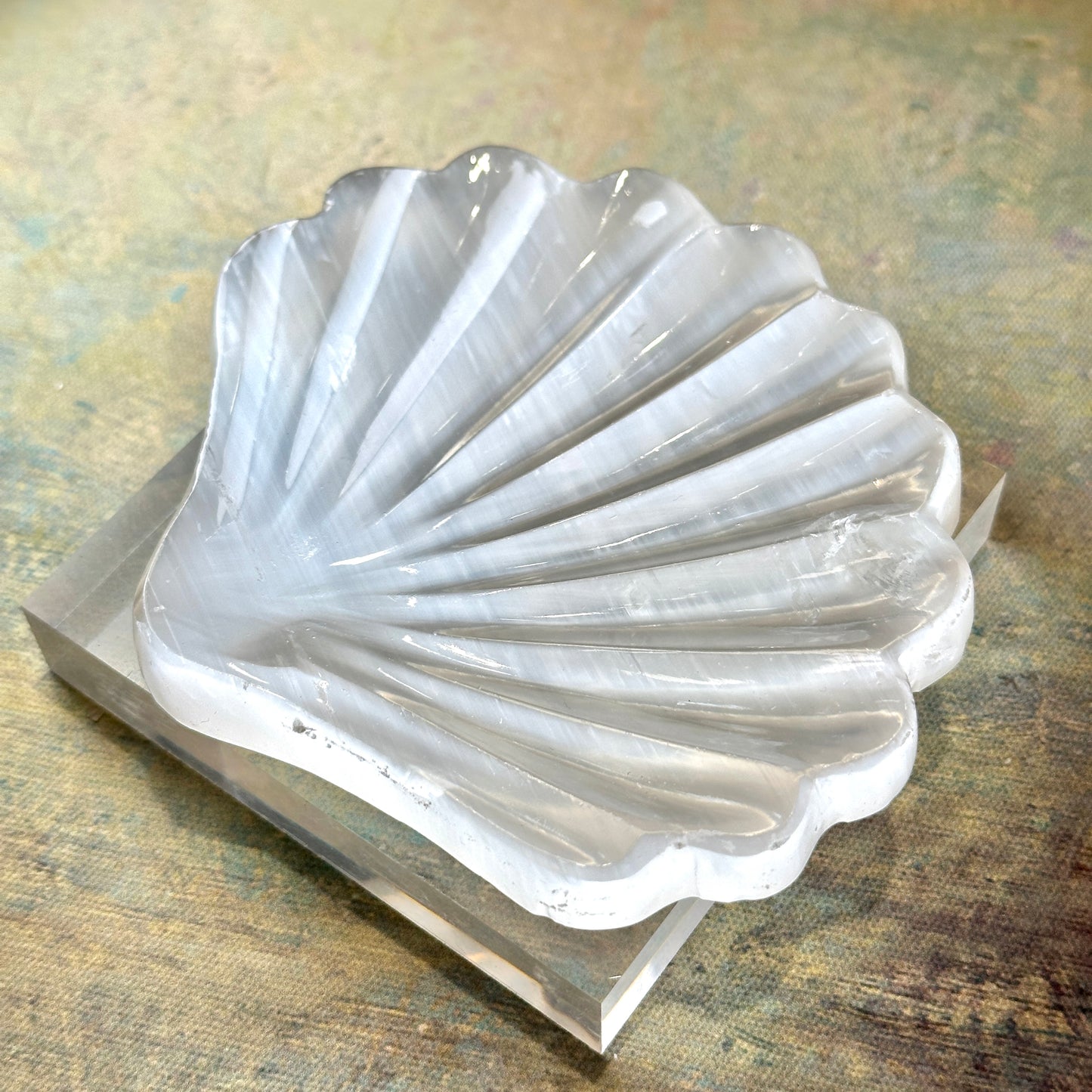 Selenite Shell Dish 透石膏貝殼碟 | 碟 dish | 細節特寫 close up detail