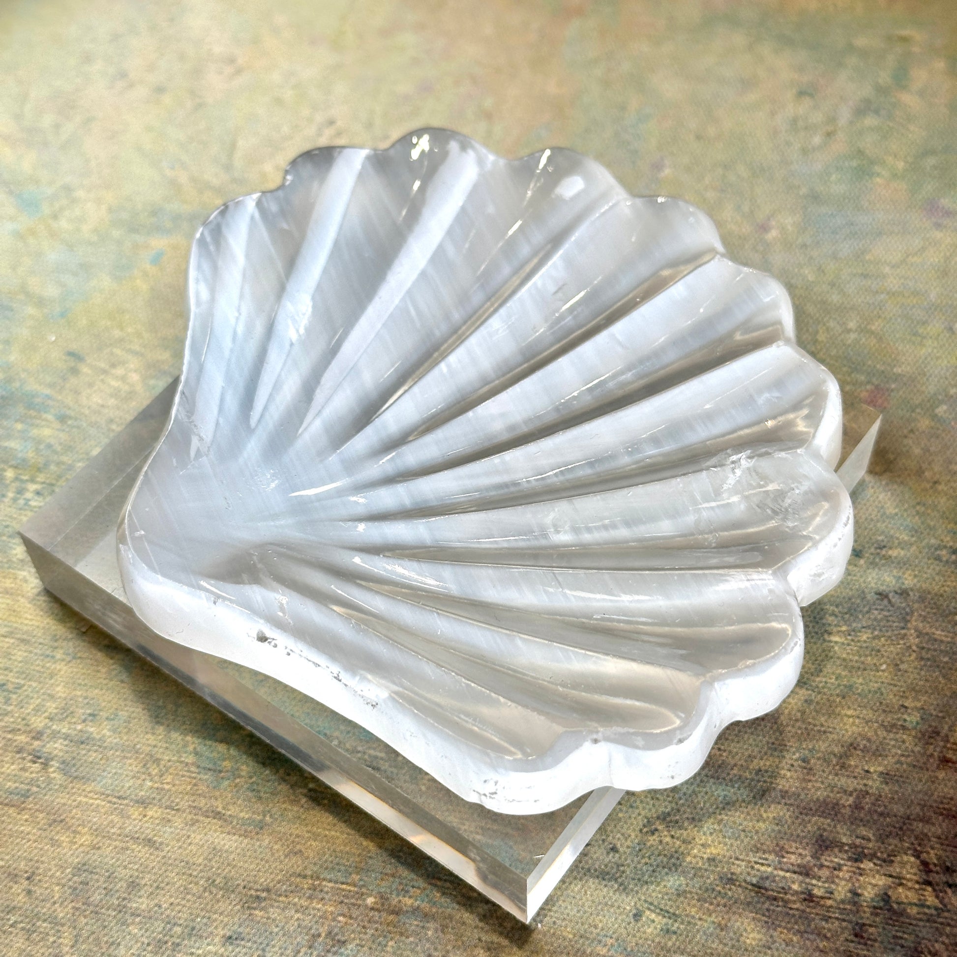 Selenite Shell Dish 透石膏貝殼碟 | 碟 dish | 細節特寫 close up detail