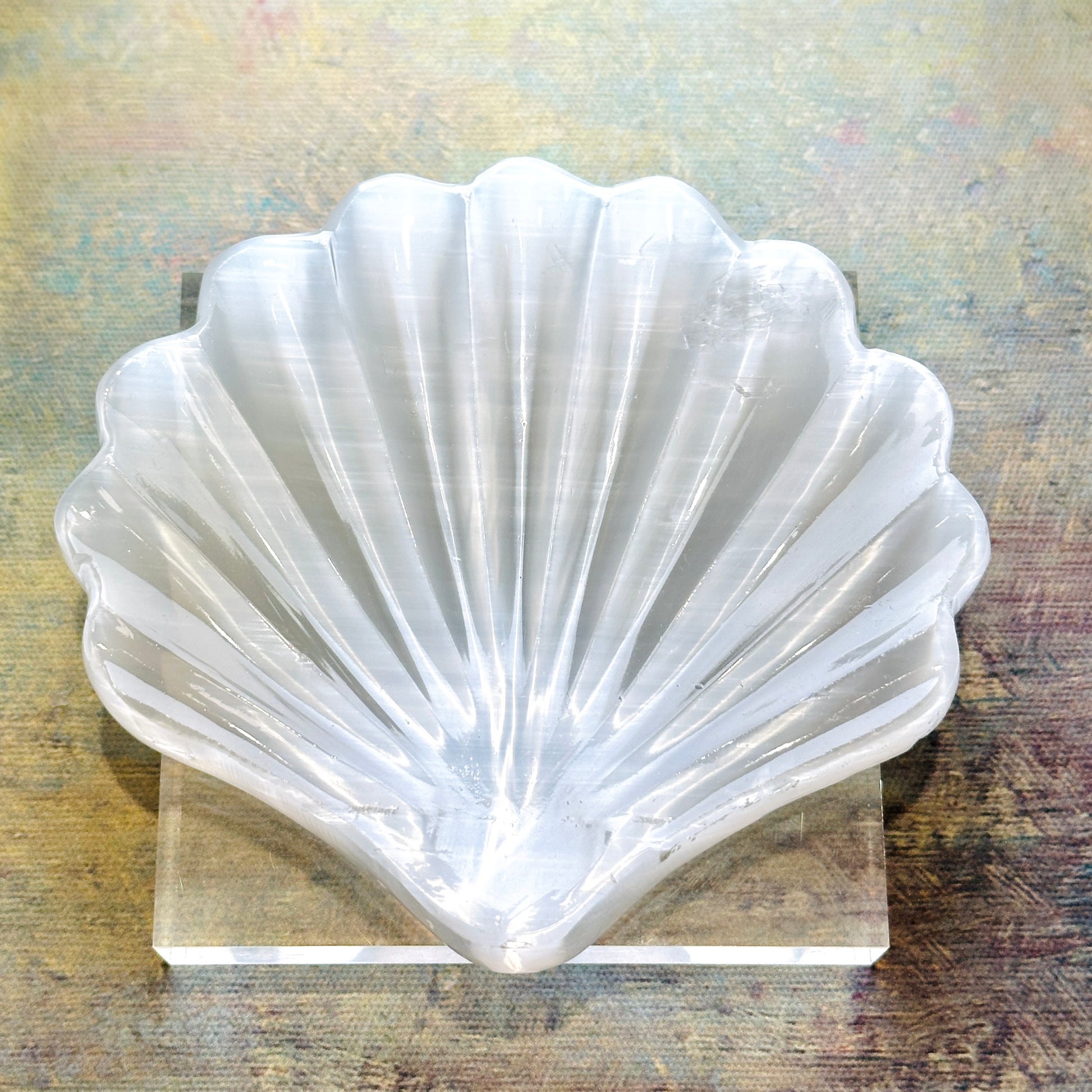 Selenite Shell Dish 透石膏貝殼碟 | 碟 dish | 正面圖 front view