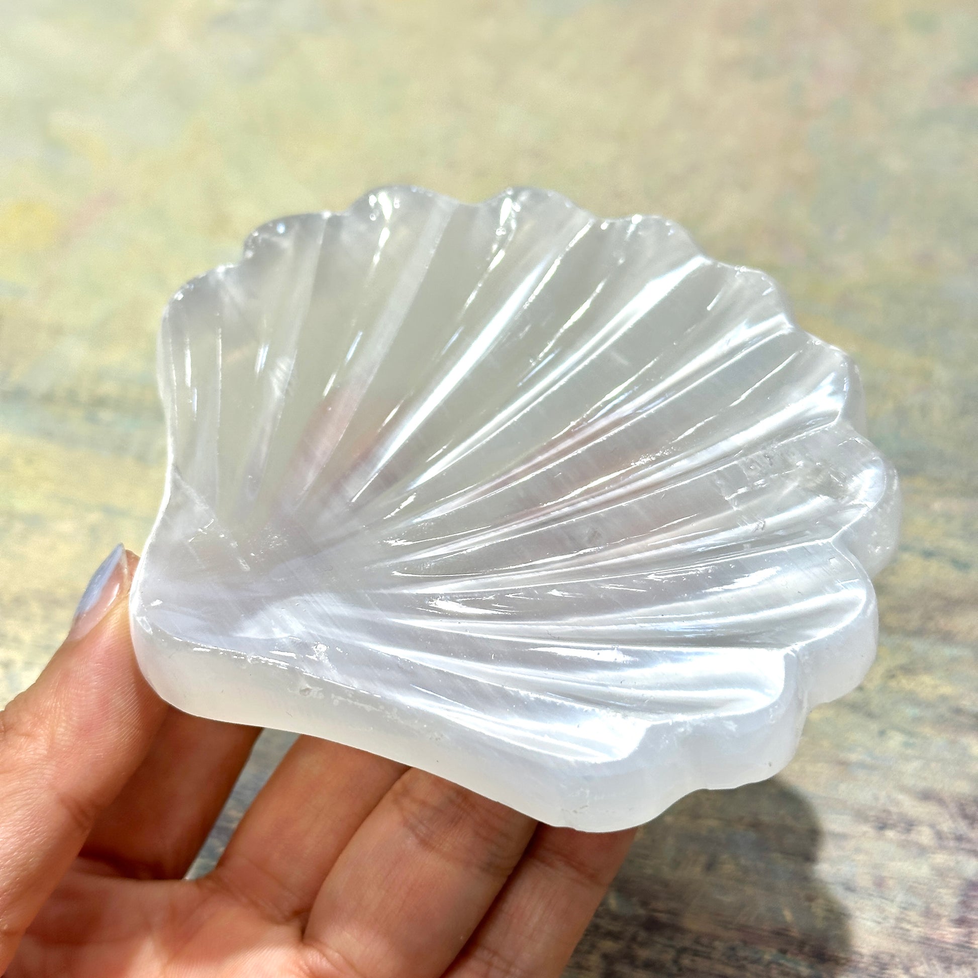 Selenite Shell Dish 透石膏貝殼碟 | 碟 dish | 紋理特寫 texture detail