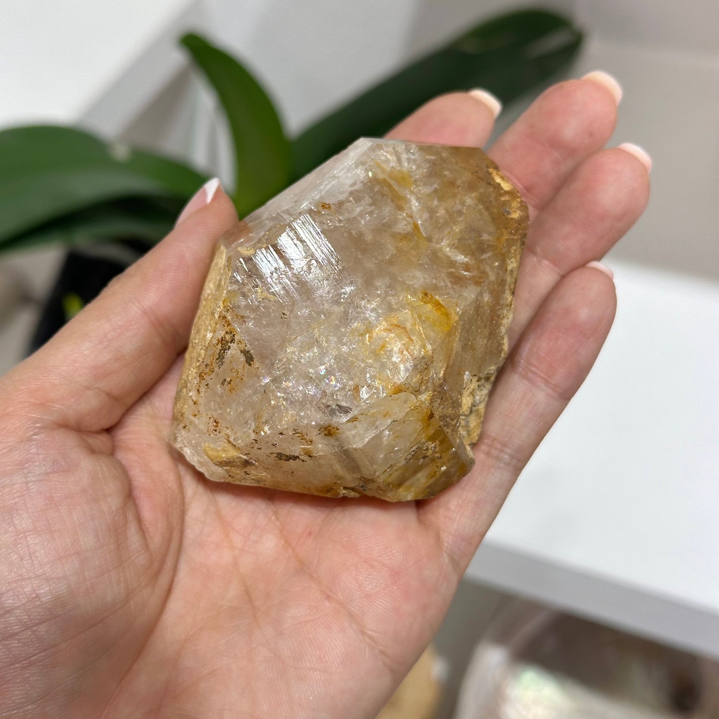 Skeleton Quartz 骸骨水晶 (01) | 原礦 raw-crystal | 細節特寫 close up detail
