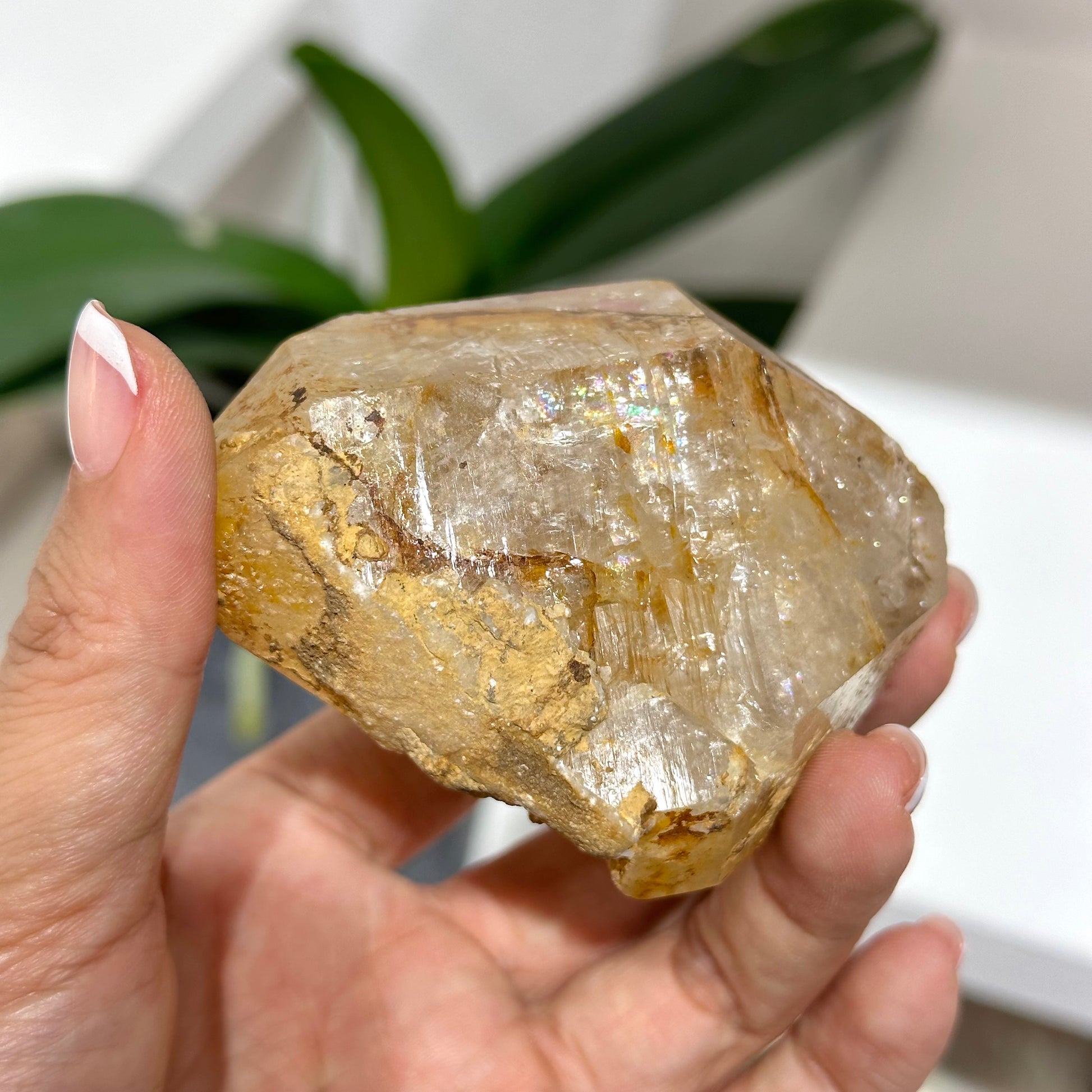 Skeleton Quartz 骸骨水晶 (01) | 原礦 raw-crystal | 側面角度 side angle
