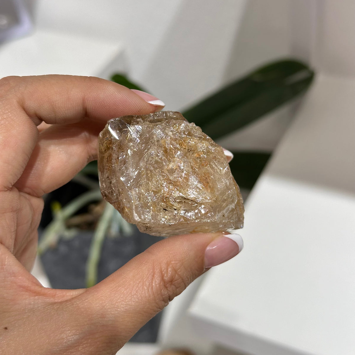 Skeleton Quartz 骸骨水晶 (02) | 原礦 raw-crystal | 細節特寫 close up detail