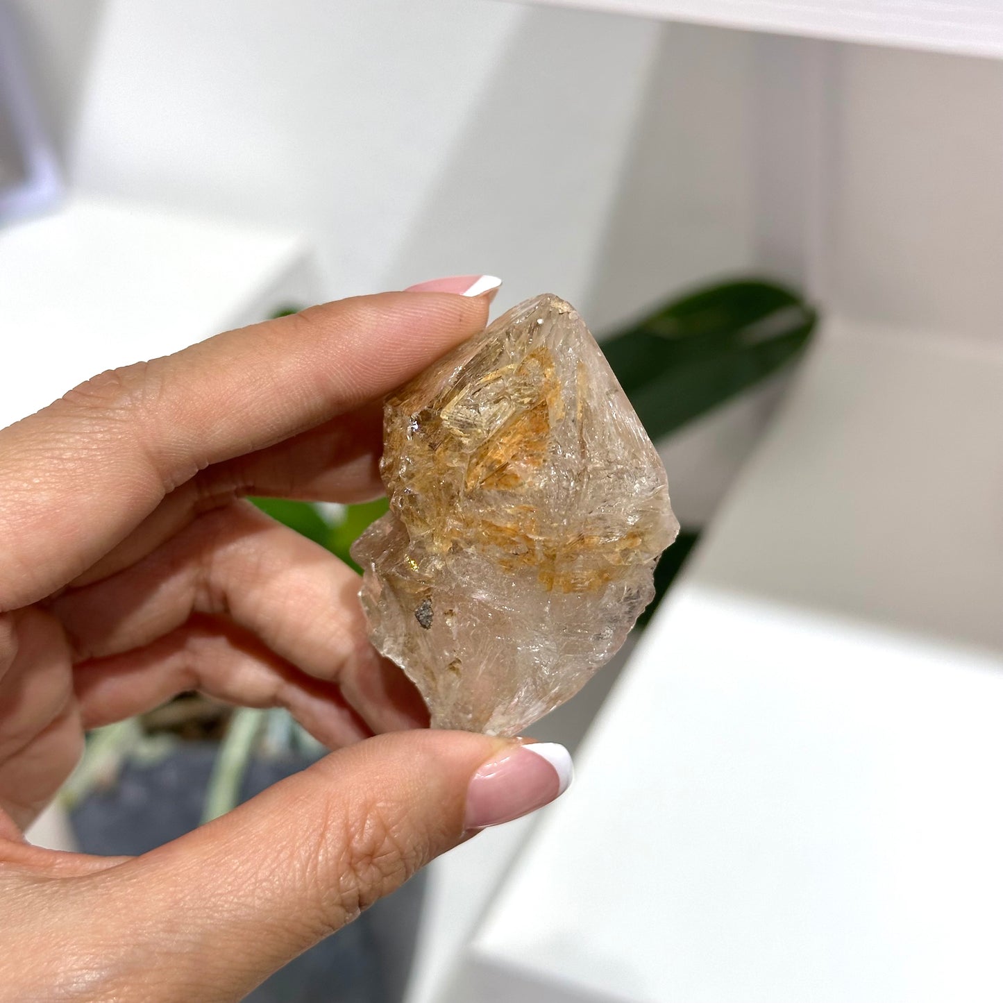Skeleton Quartz 骸骨水晶 (02) | 原礦 raw-crystal | 側面角度 side angle