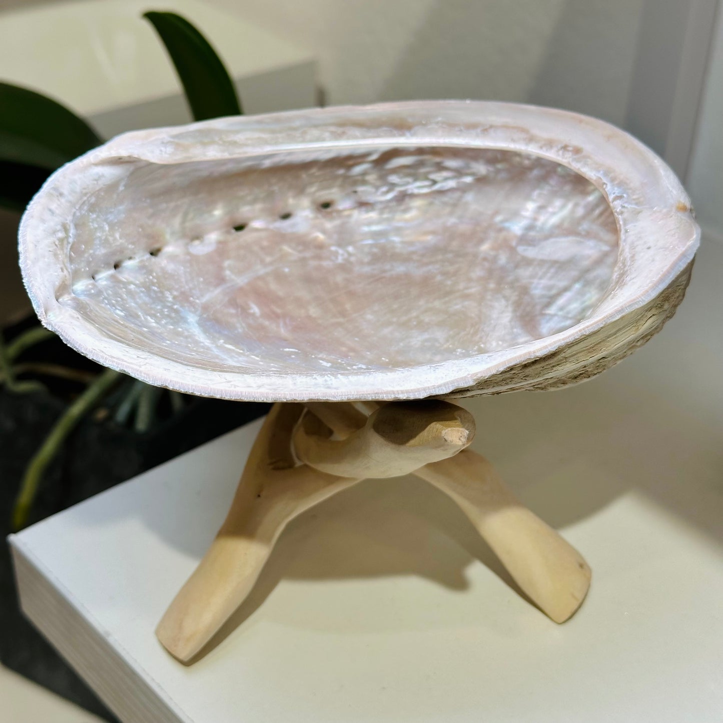 White Abalone Shell Smudge Holder 白鮑魚壳煙薰儀式專用架 | 儀式架 ritual-holder | 紋理特寫 texture detail
